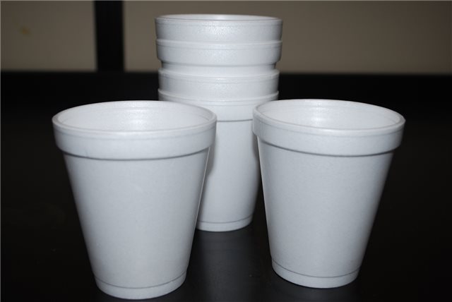 Sleeve of 8oz styrofoam cup – AFNS Stores