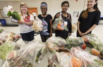 Program aims to tackle high rates of food insecurity in edmonton