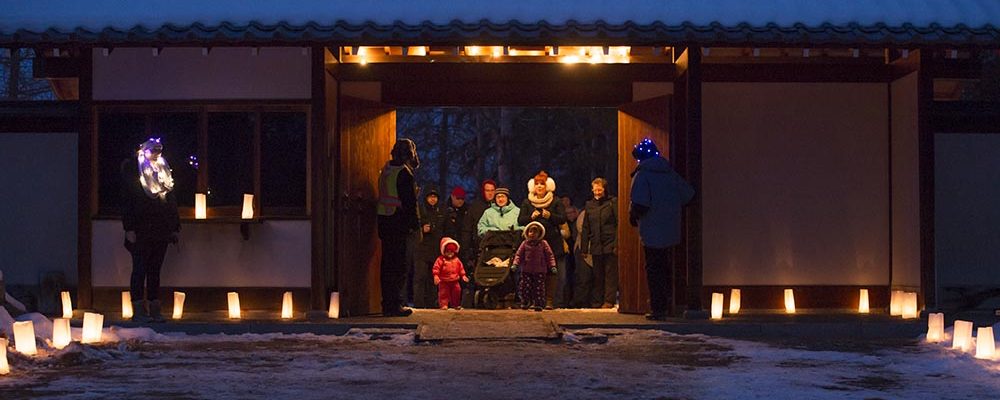 Home Luminaria The University Of Alberta Botanic Garden