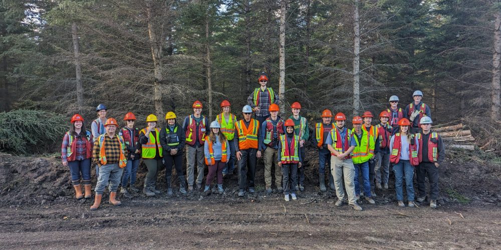 PXL_20231012_203118595