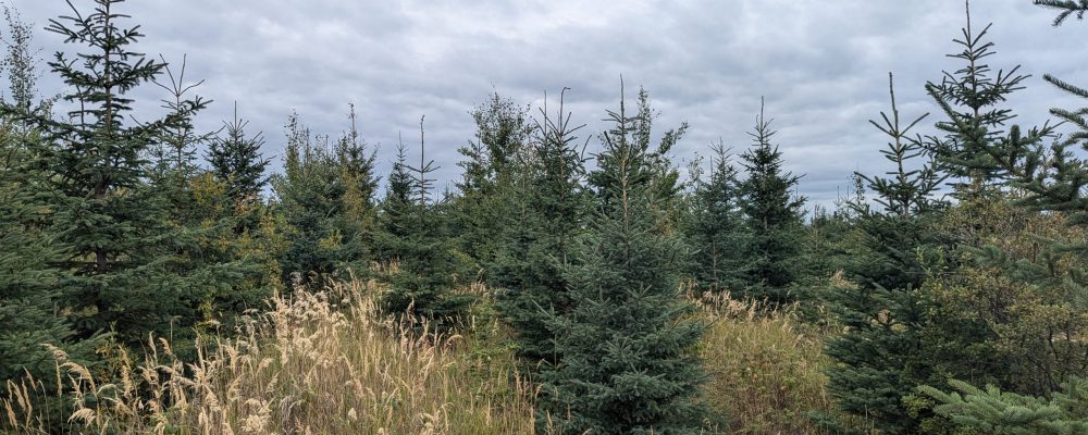 PXL_20240914_192255931