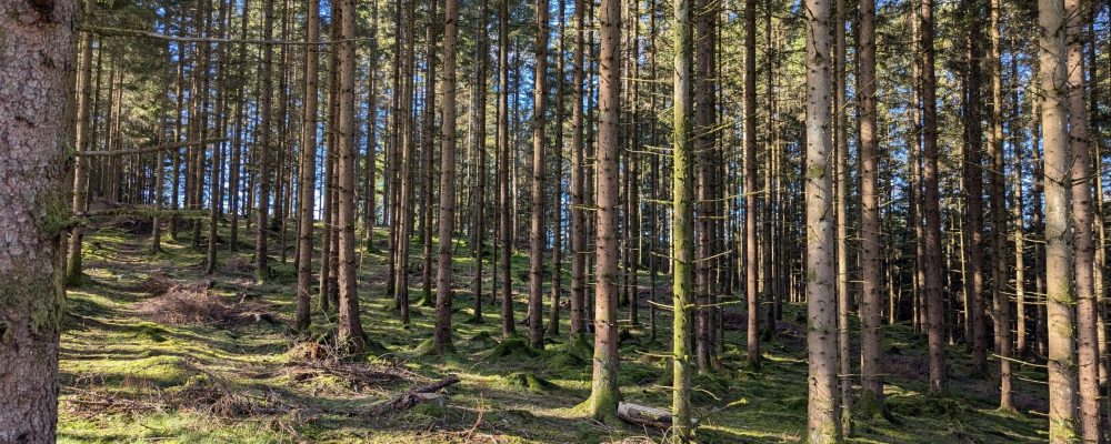 PXL_20241003_105901450