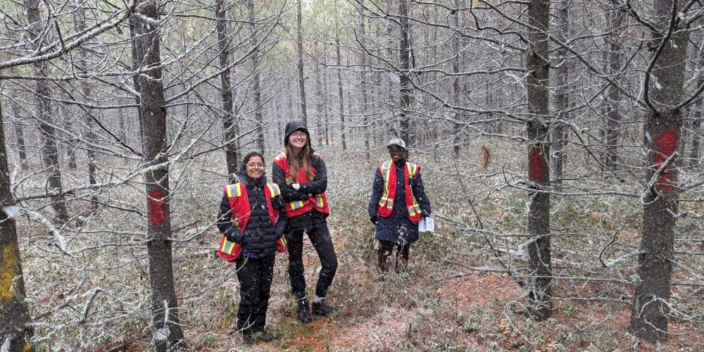 PXL_20241017_163843360