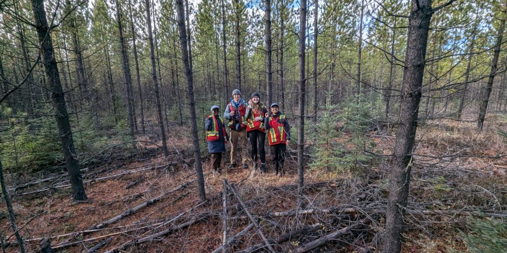 PXL_20241017_192837024.MP