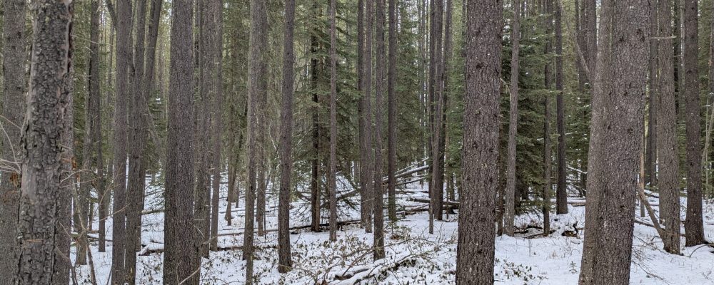 PXL_20250124_194714451