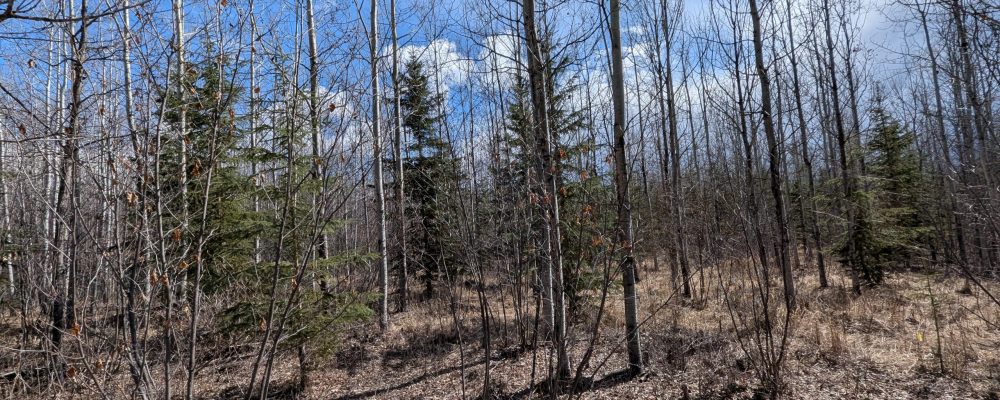 PXL_20250423_201246514