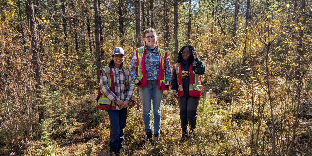 PXL_20251002_184151123