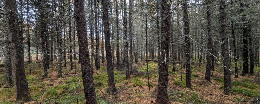 PXL_20251021_135312657