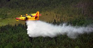 waterbomber photo