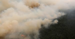 smoke over forest fire