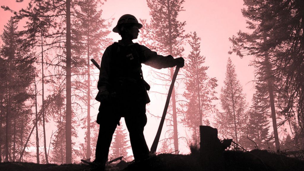 silhouette of a firefighter in the forest