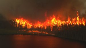 forest fire at night